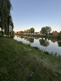 Dorfteich Bochow-2