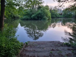 Ritterweiher (Bad Vilbel)-1
