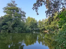 Ritterweiher (Bad Vilbel)-4
