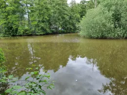 Ritterweiher (Bad Vilbel)