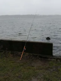 Kieler Förde (Mönkeberg)