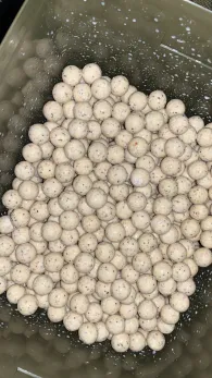 Zwanziger See (Escher See Süd)