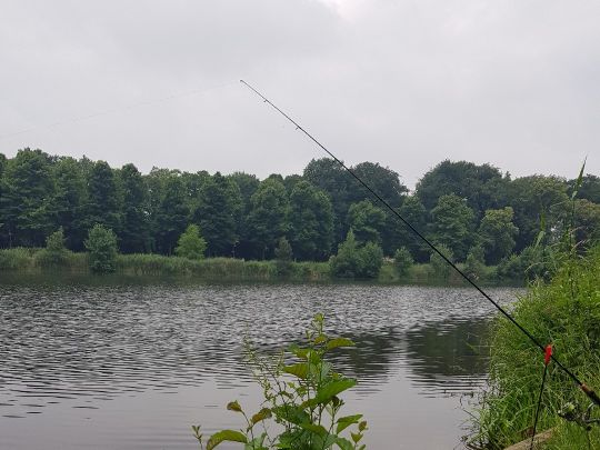 Emssee (Warendorf)-2