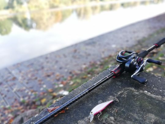 Emssee (Warendorf)-1