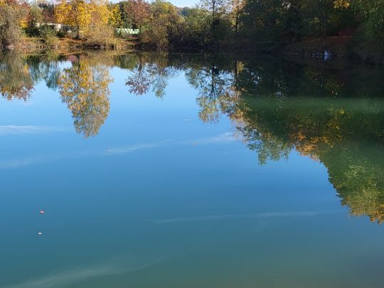 Baggersee Weigel (Bergkirchen)