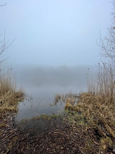 Lehmgrube Witzbach-3