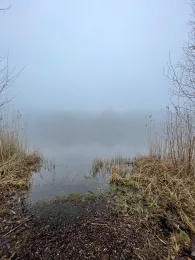 Lehmgrube Witzbach-3