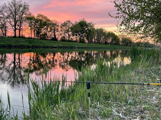 Wessem-Nederweert-Kanaal-4
