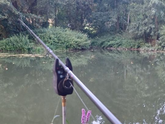 Tauber (Gamburg-Niklashausen)-1