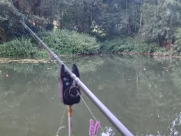 Tauber (Gamburg-Niklashausen)-1