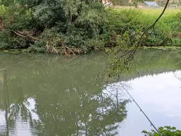 Tauber (Gamburg-Niklashausen)