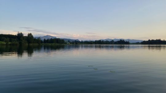 Öschlesee (Sulzberg) angeln