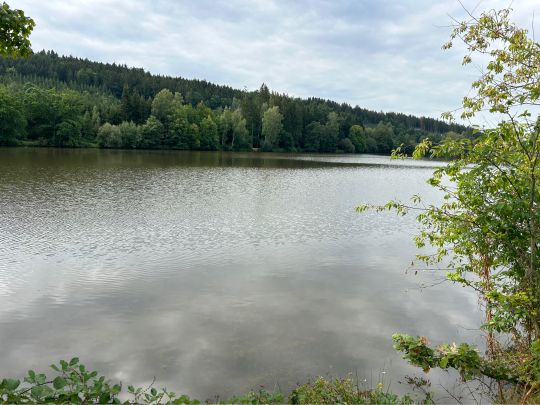 Häslestausee