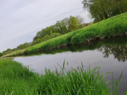 Axtbach (Herzebrock-Clarholz)-4