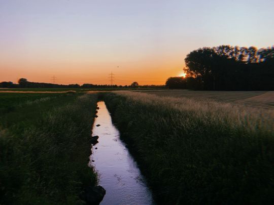 Axtbach (Herzebrock-Clarholz)-4