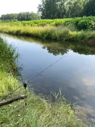 Axtbach (Herzebrock-Clarholz)-2