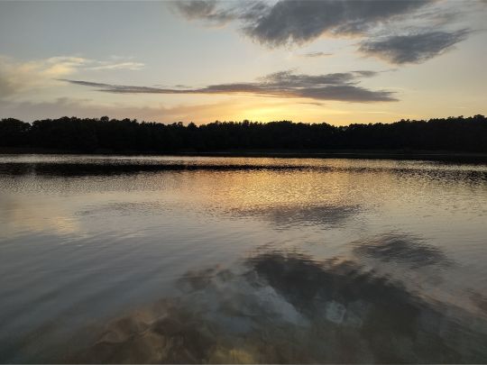 Hofsee (Speck)-1