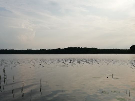 Hofsee (Speck)-4