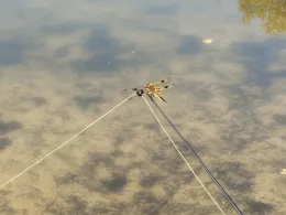 Teich Schröder (Lunestedt)-3