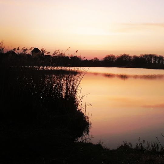 Alfred-Dietz-See 1-2-1