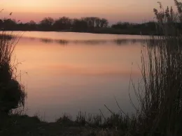 Alfred-Dietz-See 1-2