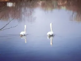 Alfred-Dietz-See 1-2-2