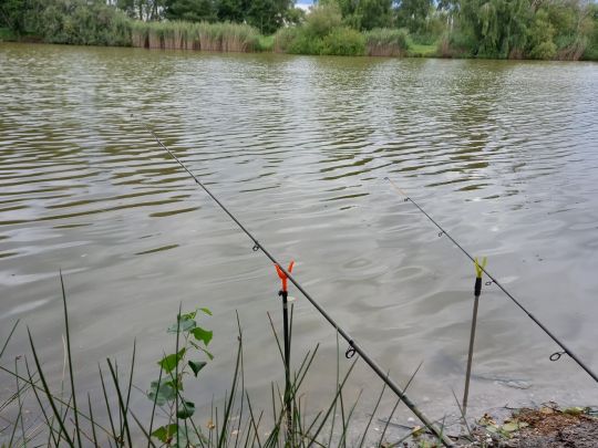 Angelteich Zeisholz