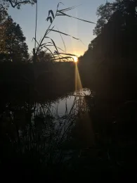 Raklitza (Rietschen)