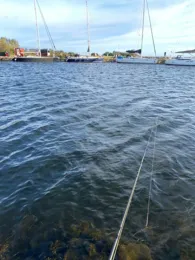 Gedser Lystbådehavn-2