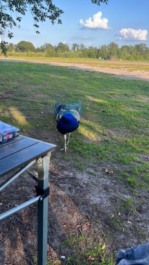 Fishing Adventure NL-4