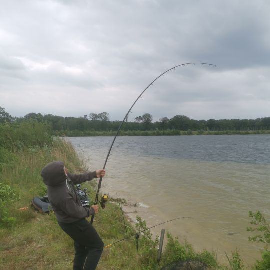 Fishing Adventure NL-3