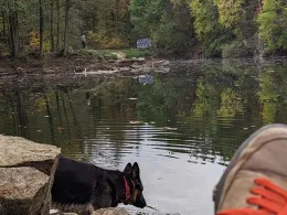 Aje-See (Eppertshausen)-1