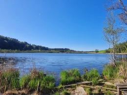 Bärnsee (Aschau)