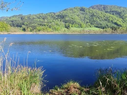 Bärnsee (Aschau)-1