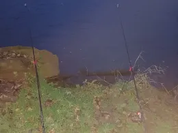 Neckar (Zwingenberg)