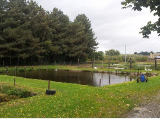 Angelpark Sonsbeck-3