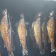 Angelpark Sonsbeck-4