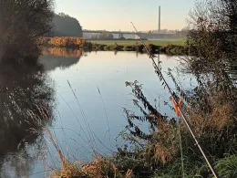 Zwickauer Mulde (Remse)
