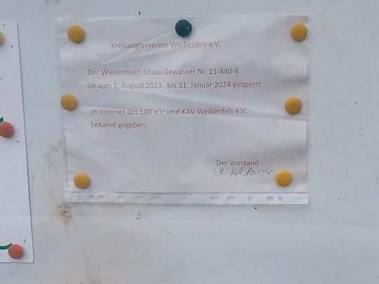 Wiesenteich (Lösau)-3