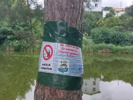 Wiesenteich (Lösau)-1