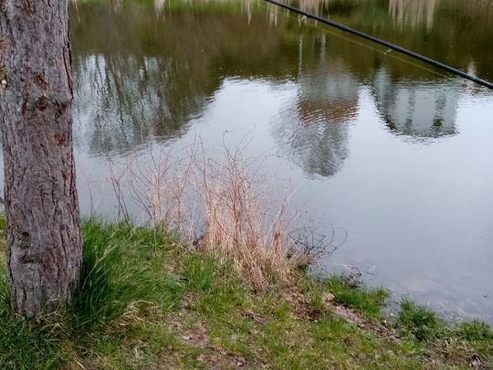 Wiesenteich (Lösau)-2