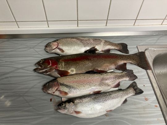 Angelteiche Fritzemühle (Berndorf)-1