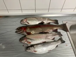 Angelteiche Fritzemühle (Berndorf)-1