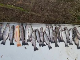 Angelteiche Fritzemühle (Berndorf)