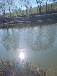 Angelteiche Fritzemühle (Berndorf)-2