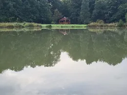 Fuchsheckenteich (Rommerode)