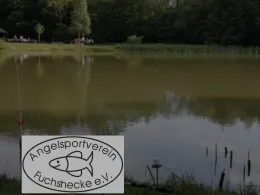 Fuchsheckenteich (Rommerode)-1