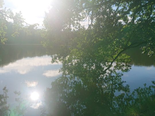 Gentschteich (Geithain)