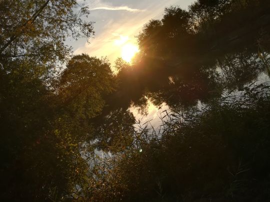 Vereingewässer AFV Im Bruch