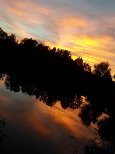 Vereingewässer AFV Im Bruch-1